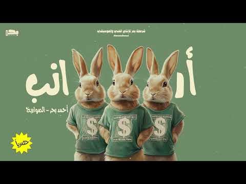 كلمات اغنية أرانب الصواريخ دقدق و فانكي